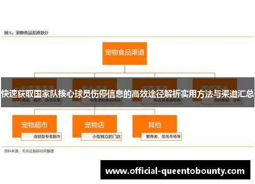 快速获取国家队核心球员伤停信息的高效途径解析实用方法与渠道汇总