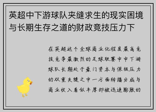 英超中下游球队夹缝求生的现实困境与长期生存之道的财政竞技压力下