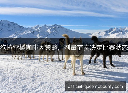 狗拉雪橇咖啡因策略，剂量节奏决定比赛状态